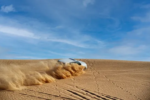 Evening Desert Safari with Camel Ride, BBQ Dinner & Live Entertainment