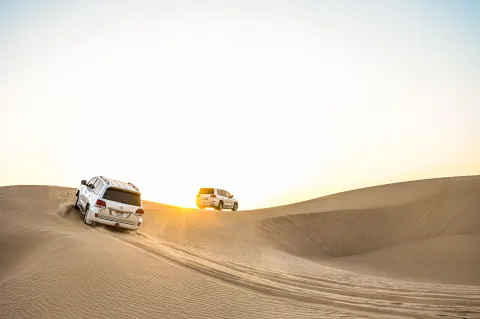 Morning Desert Safari with Dune Bashing & Camel Ride