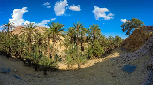 Al Ain City Tour From Dubai — RAH Tourism photo 6 of 6